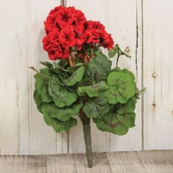 CWI Geranium Bush 15"