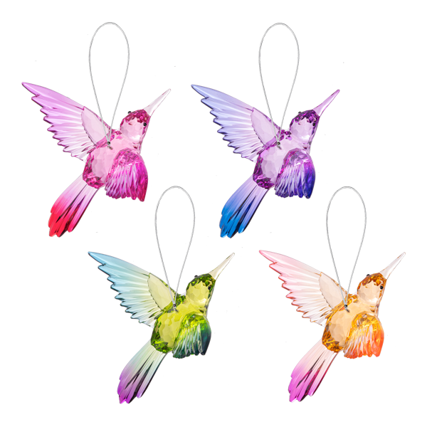 Vibrant Hummingbird 1210