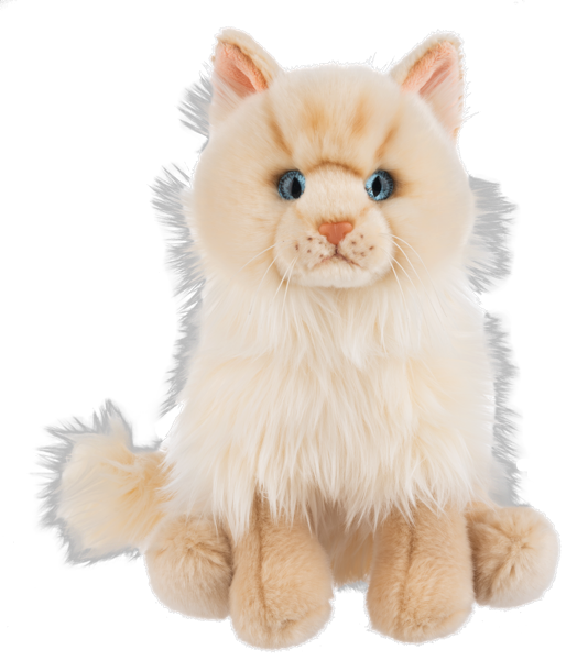 Heritage Ragamuffin Cat 1210