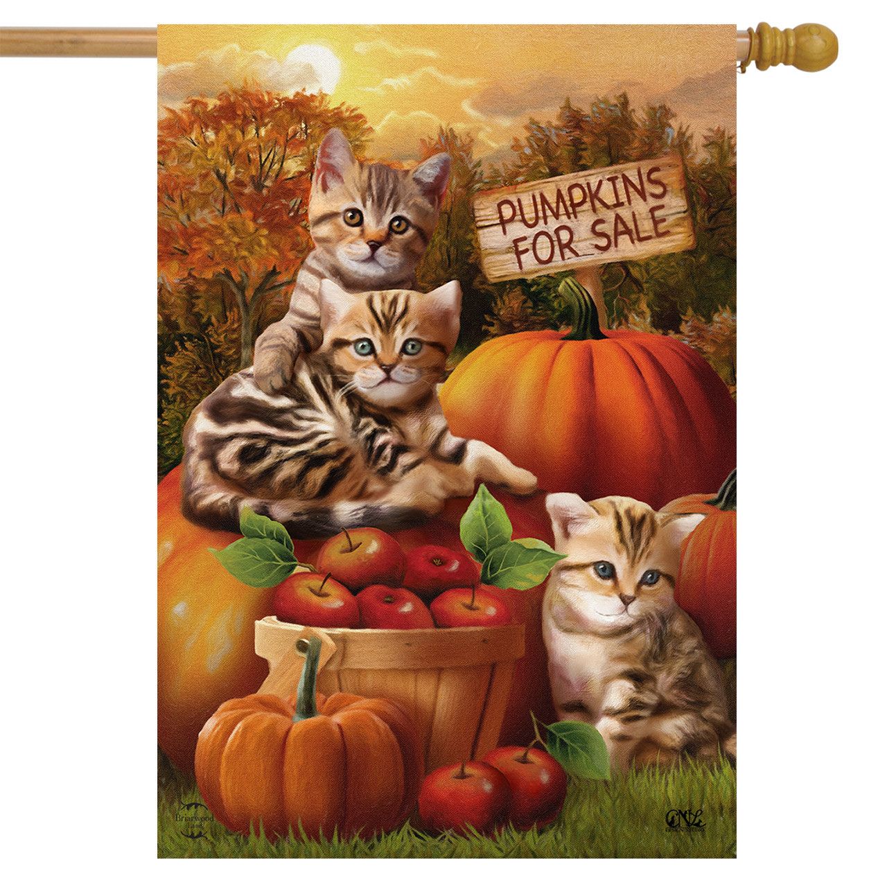 Fall Kittens House Flag 1023
