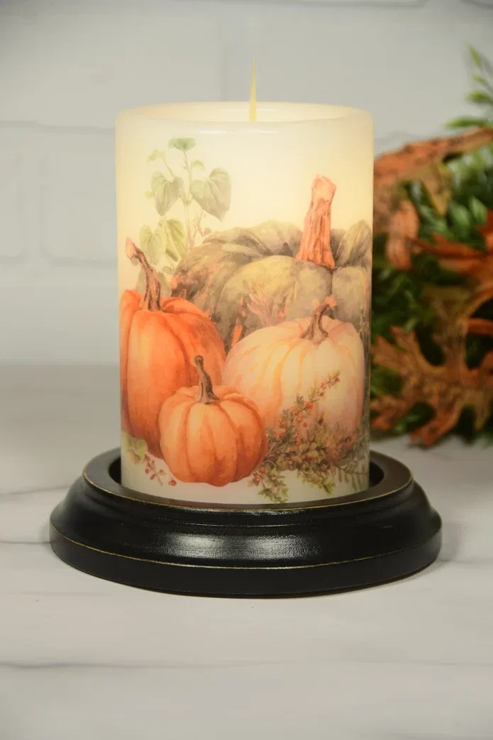 Fall Cinderella Pumpkins V 1055