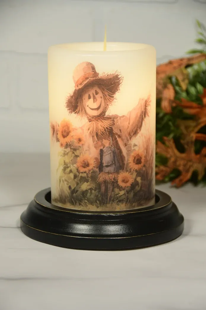 Fall Peeking R Scarecrow V 1055