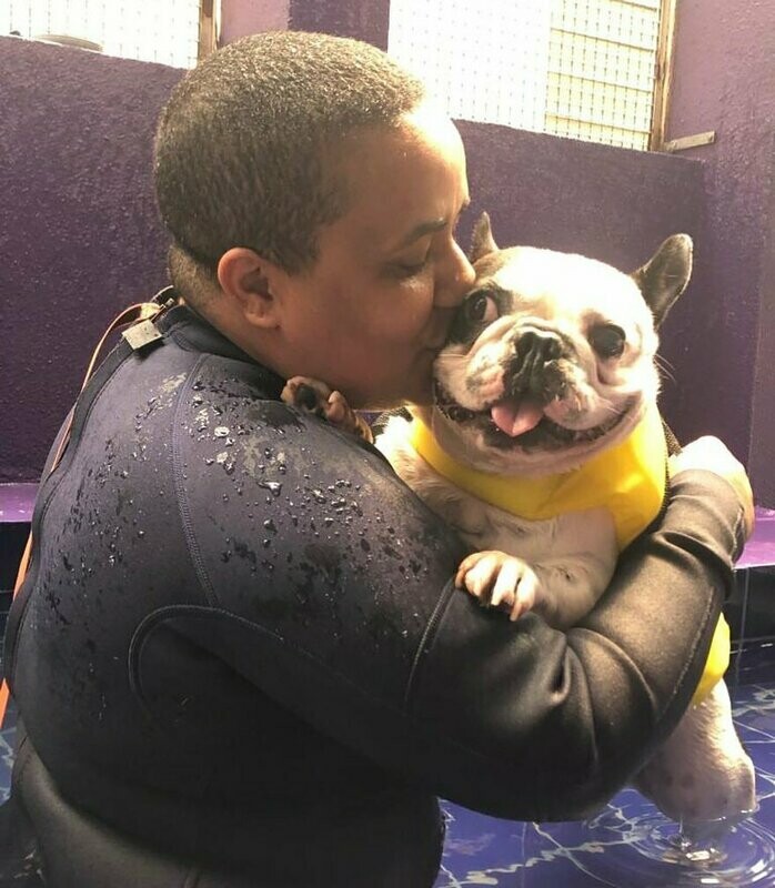 MANIA DE CACHORRO , Moema MANIA DE CACHORRO , Moema
