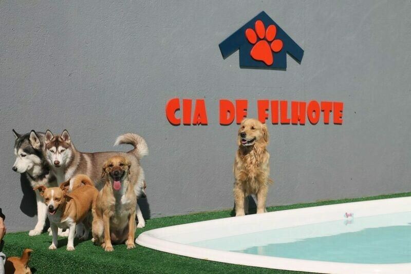 CIA DE FILHOTE, Morumbi CIA DE FILHOTE, Morumbi