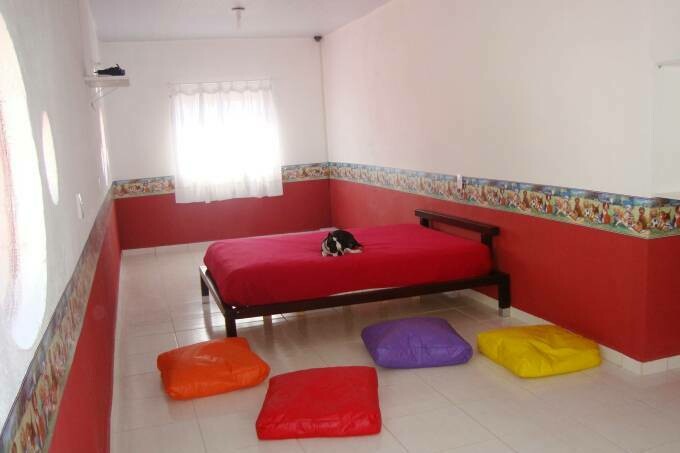 CÃO TOUR CRECHE E HOTEL PARA CÃES, Brooklin