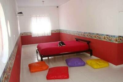 CÃO TOUR CRECHE E HOTEL PARA CÃES, Brooklin CÃO TOUR CRECHE E HOTEL PARA CÃES, Brooklin