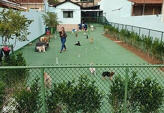 HOTEL HAPPY DOG Vila Leopoldina HOTEL HAPPY DOG Vila Leopoldina