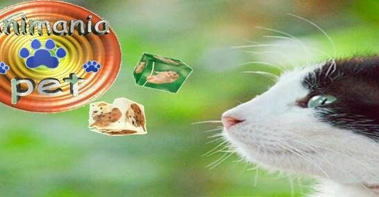 ANIMANIA PET & CIA, República ANIMANIA PET & CIA, República