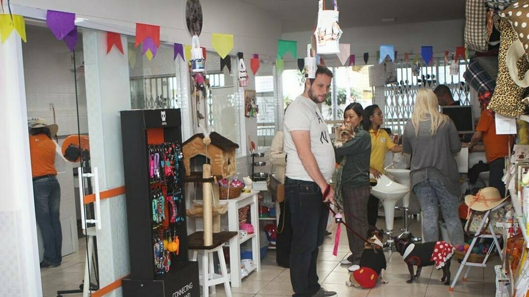 AUGUSTA PET SHOP, Consolação AUGUSTA PET SHOP, Consolação