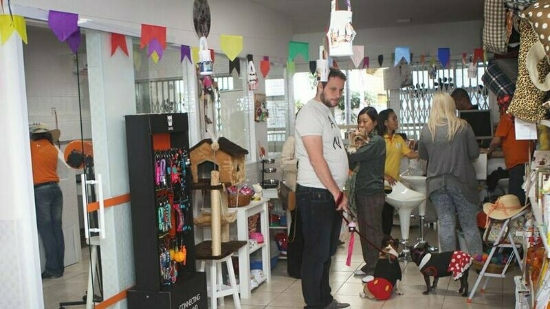 AUGUSTA PET SHOP, Consolação AUGUSTA PET SHOP, Consolação