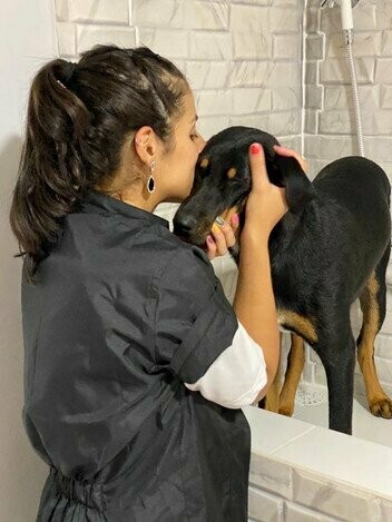 REFÚGIO DOS PETS ESTÉTICA ANIMAL, Ipiranga