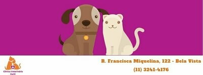 CLÍNICA VETERINÁRIA CURTI, Bela Vista CLÍNICA VETERINÁRIA CURTI, Bela Vista