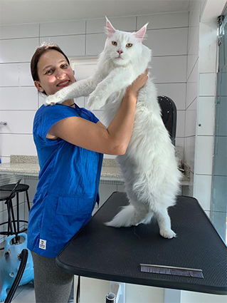 FOCCUS HOSPITAL VETERINÁRIO, Jardim Franca FOCCUS HOSPITAL VETERINÁRIO, Jardim Franca