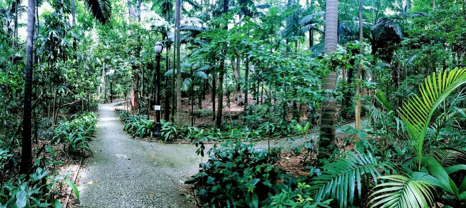 PARQUE TRIANON, Cerqueira César PARQUE TRIANON, Cerqueira César