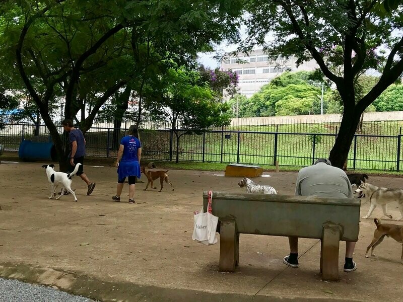 PRAÇA AYRTON SENNA DO BRASIL, Paraíso PRAÇA AYRTON SENNA DO BRASIL, Paraíso