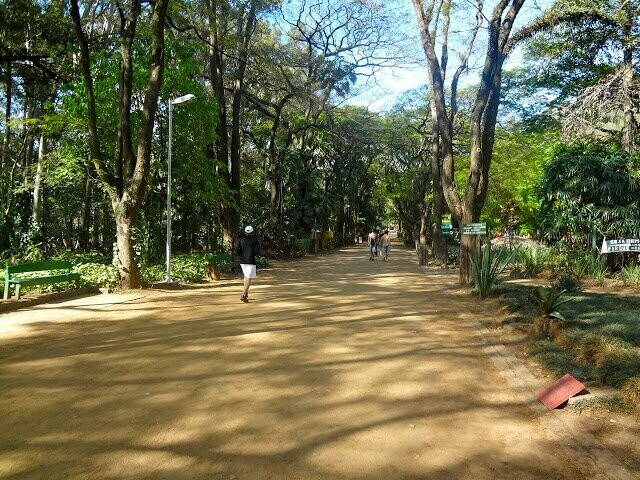 PARQUE DO PIQUERI, Tatuapé PARQUE DO PIQUERI, Tatuapé