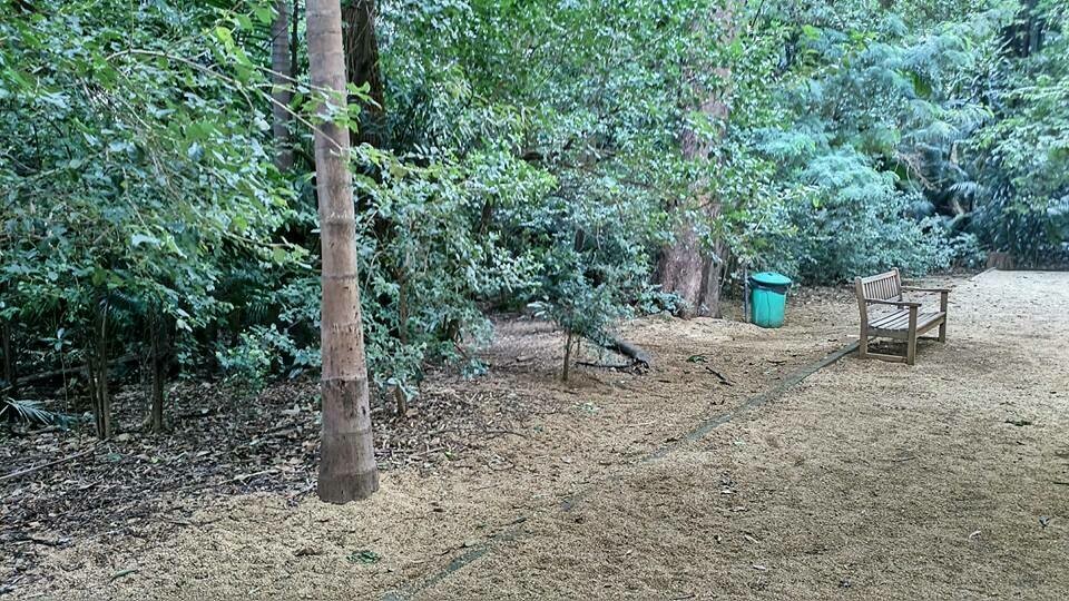 BOSQUE DO BROOKLIN BOSQUE DO BROOKLIN