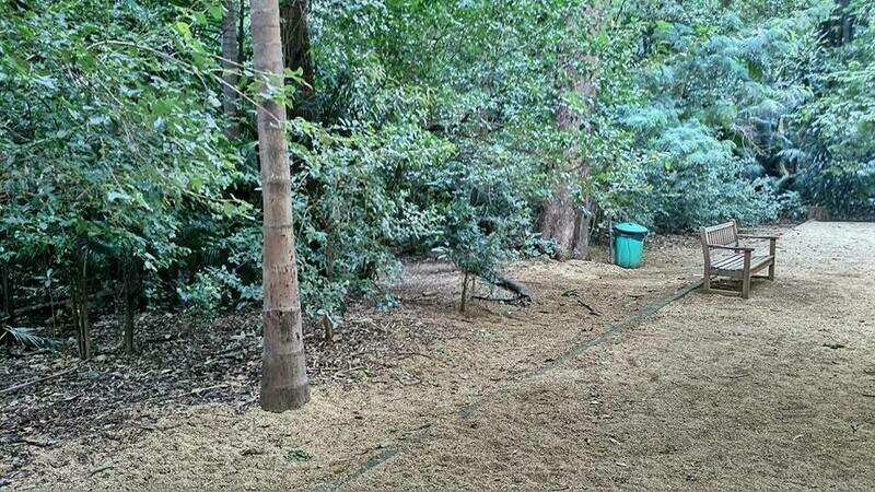 BOSQUE DO BROOKLIN BOSQUE DO BROOKLIN
