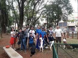 PARQUE DOMINGOS LUÍS, Jardim São Paulo PARQUE DOMINGOS LUÍS, Jardim São Paulo