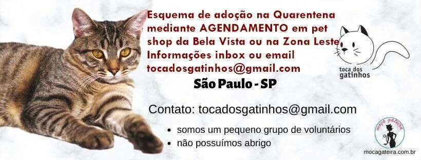TOCA DOS GATINHOS, Cangaíba TOCA DOS GATINHOS, Cangaíba