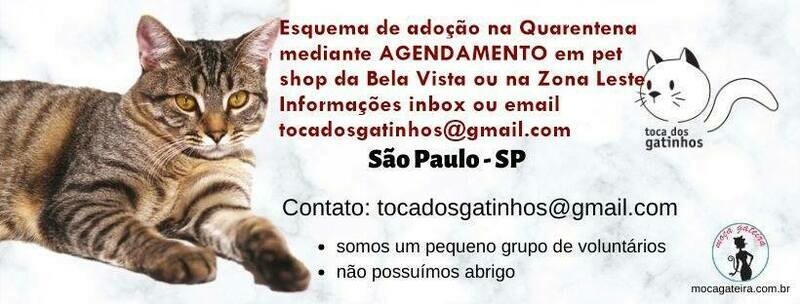 TOCA DOS GATINHOS, Cangaíba