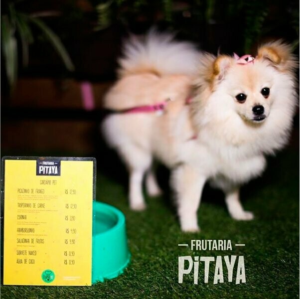 FRUTARIA PITAYA, Tatuapé