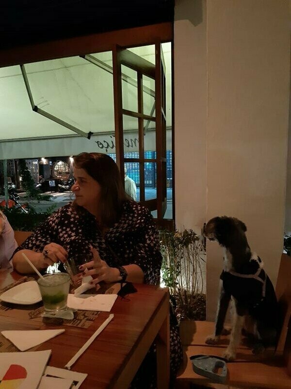 RESTAURANTE MESTIÇO, Consolação RESTAURANTE MESTIÇO, Consolação