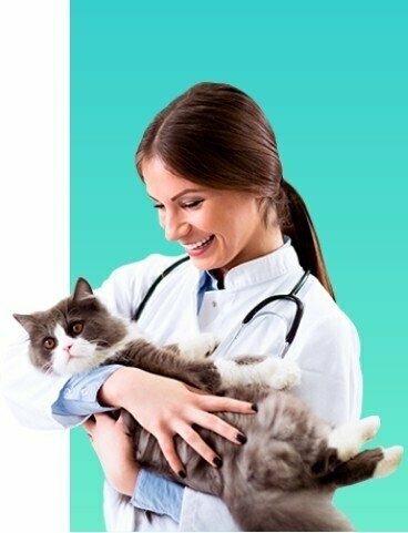 HOSPITAL PET CARE PACAEMBU HOSPITAL PET CARE PACAEMBU