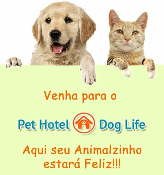 PET HOTEL DOG LIFE, Penha PET HOTEL DOG LIFE, Penha