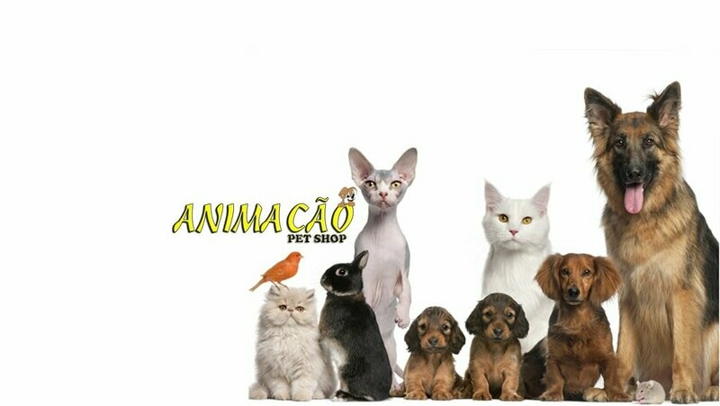 ANIMAÇÃO PET SHOP, Vila Nova Cachoeirinha ANIMAÇÃO PET SHOP, Vila Nova Cachoeirinha