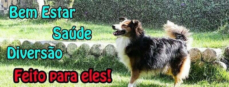 HORTO PET CENTER HOTEL E CRECHE,
Horto Florestal HORTO PET CENTER HOTEL E CRECHE,
Horto Florestal