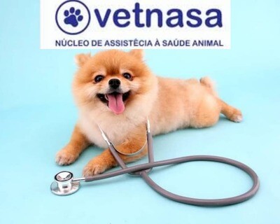 VETNASA MACEDO, Guarulhos VETNASA MACEDO, Guarulhos