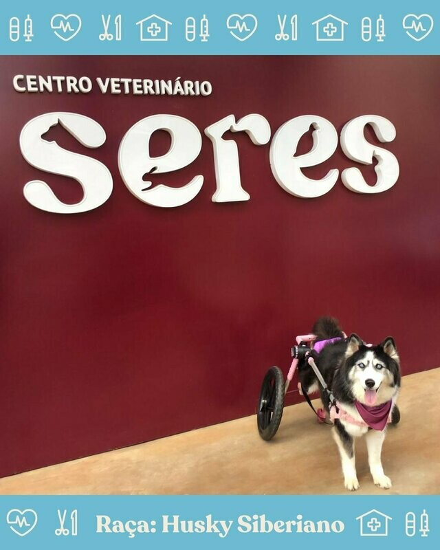 CENTRO VETERINÁRIO SERES, Vila Mariana