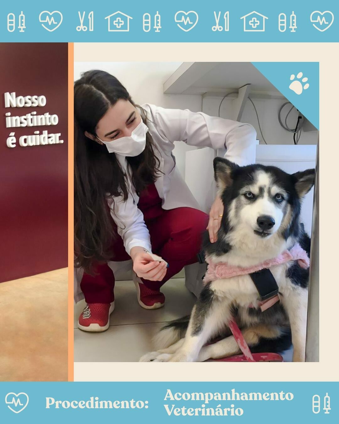 CENTRO VETERINÁRIO SERES, Pari CENTRO VETERINÁRIO SERES, Pari