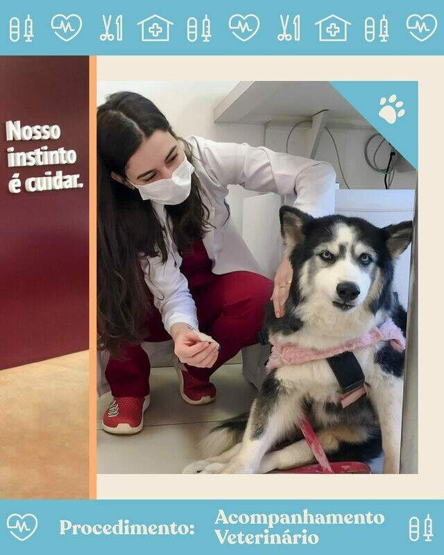 CENTRO VETERINÁRIO SERES, Pari CENTRO VETERINÁRIO SERES, Pari
