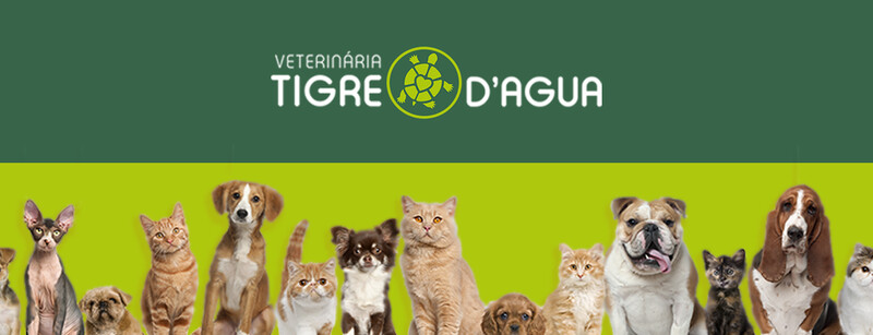 CLÍNICA VETERINÁRIA TIGRE D´ÁGUA,
Vila Matilde CLÍNICA VETERINÁRIA TIGRE D´ÁGUA,
Vila Matilde