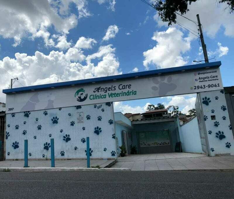 ANGELS CARE MEDICINA VETERINÁRIA, Pq Boturussu ANGELS CARE MEDICINA VETERINÁRIA, Pq Boturussu