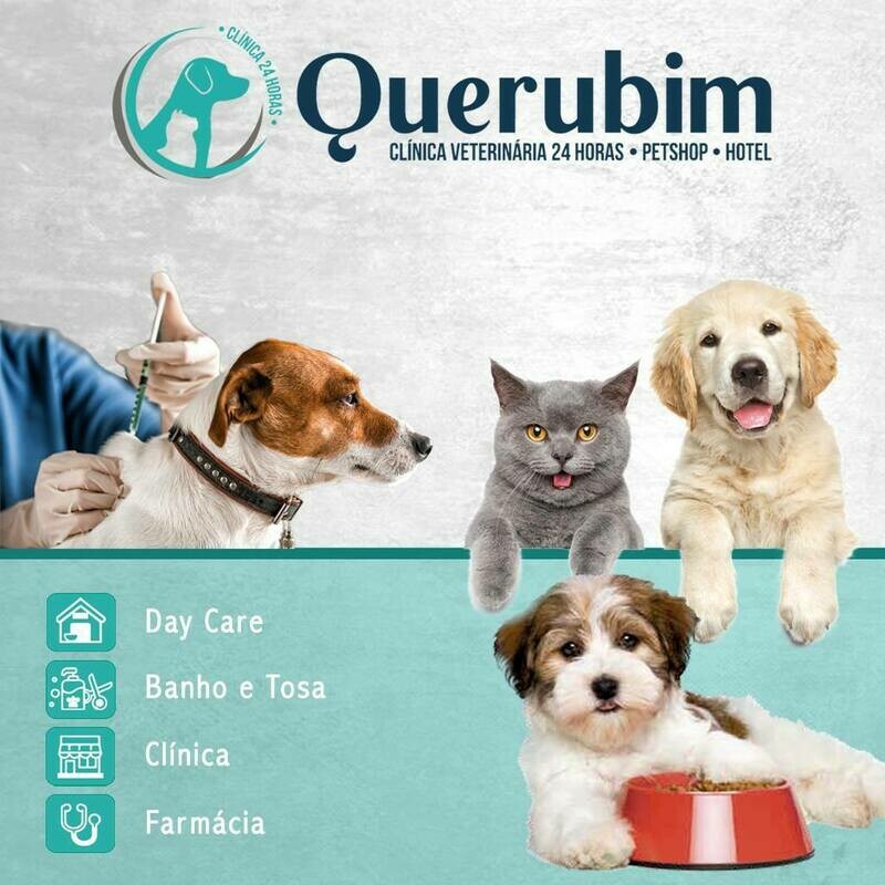 QUERUBIM CENTRO VETERINÁRIO, Moema