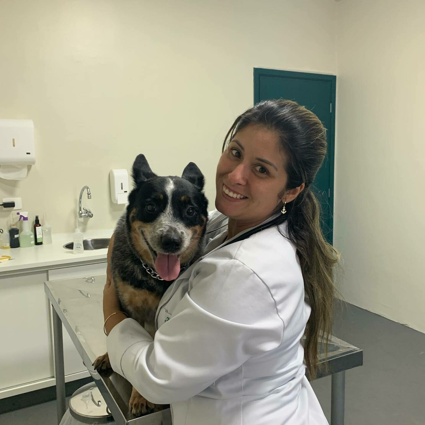 CENTRO VETERINÁRIO MANTIQUEIRA, Santo Amaro CENTRO VETERINÁRIO MANTIQUEIRA, Santo Amaro