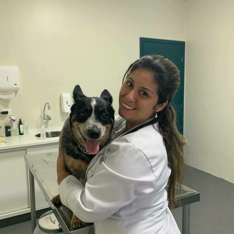 CENTRO VETERINÁRIO MANTIQUEIRA, Santo Amaro CENTRO VETERINÁRIO MANTIQUEIRA, Santo Amaro