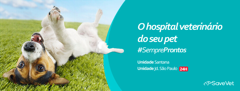 SAVE VET Hospital Vet, Jardim São Paulo SAVE VET Hospital Vet, Jardim São Paulo