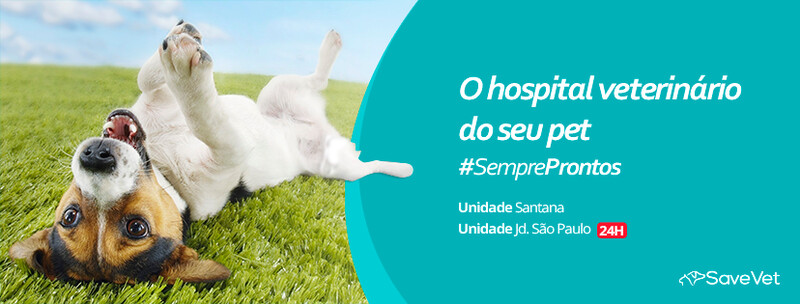 SAVE VET Hospital Vet, Jardim São Paulo SAVE VET Hospital Vet, Jardim São Paulo