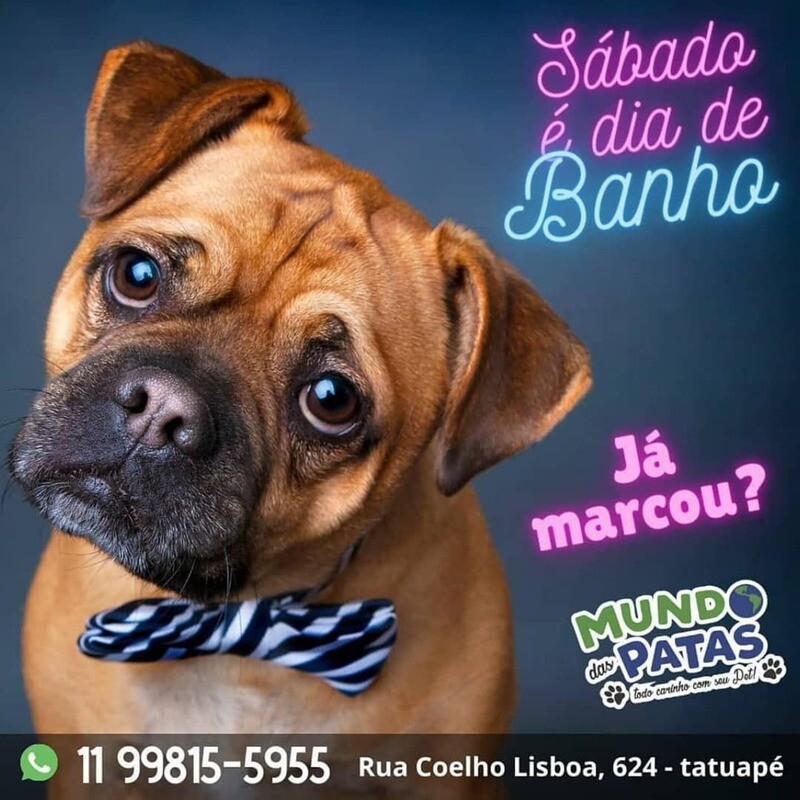 PET SHOP MUNDO DAS PATAS, Tatuapé PET SHOP MUNDO DAS PATAS, Tatuapé
