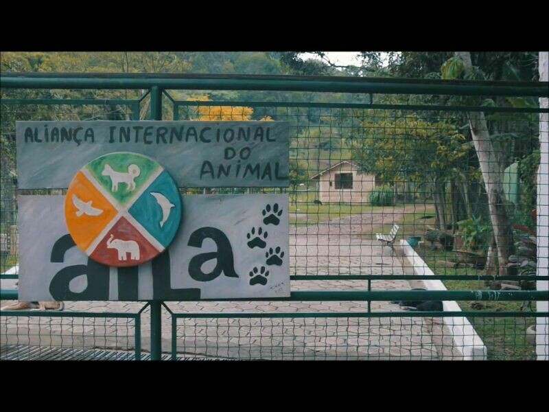 ALIANÇA INTERNACIONAL DO ANIMAL,      
Vila Andrade