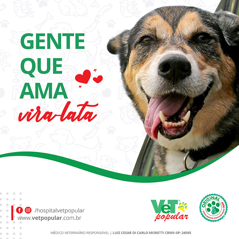HOSPITAL VETERINÁRIO VET POPULAR,
Vila Carrão HOSPITAL VETERINÁRIO VET POPULAR,
Vila Carrão