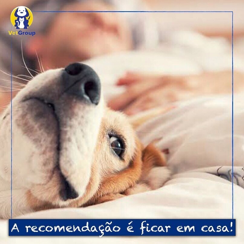 HOSPITAL VETERINÁRIO POMPÉIA HOSPITAL VETERINÁRIO POMPÉIA
