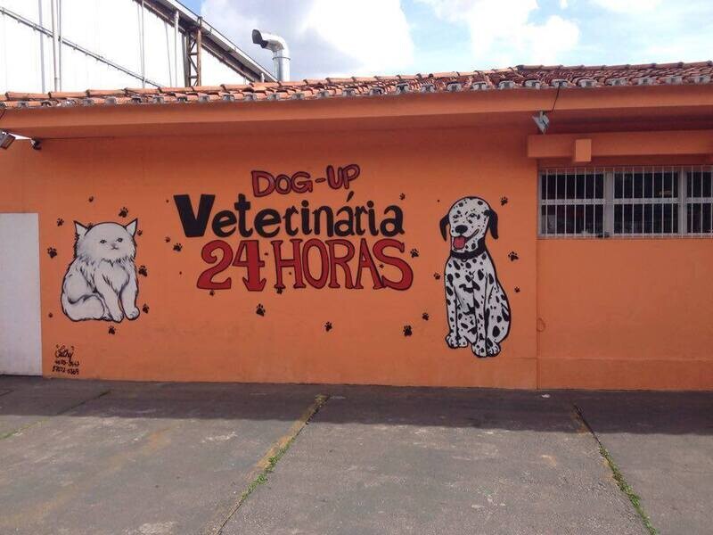 CLÍNICA VETERINÁRIA DOG UP, Butantã CLÍNICA VETERINÁRIA DOG UP, Butantã