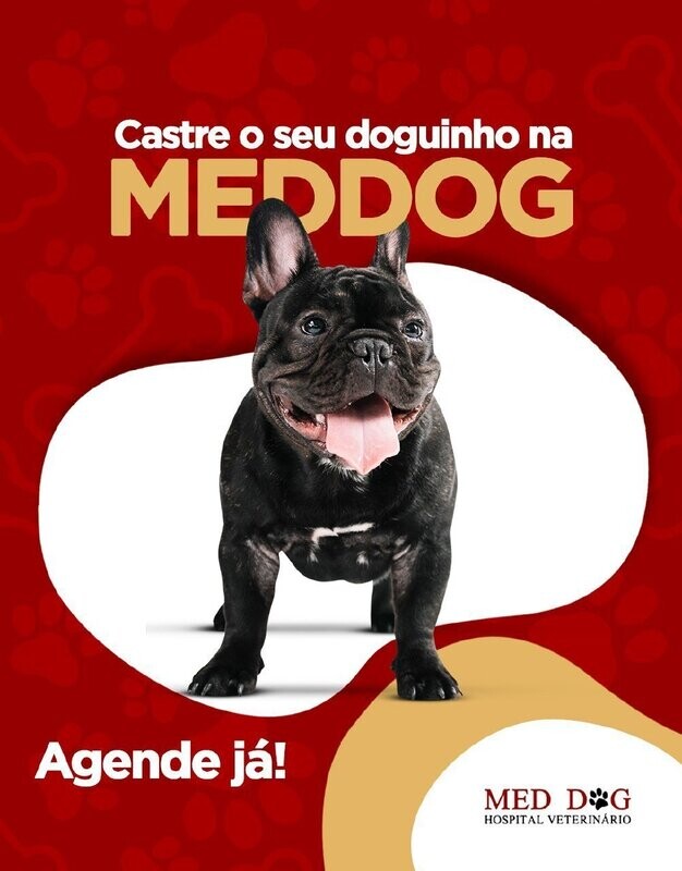 MED DOG HOSPITAL VETERINÁRIO, Cambuci
