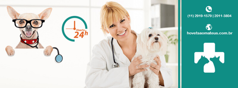 HOSPITAL VETERINÁRIO PANDA SÃO MATEUS HOSPITAL VETERINÁRIO PANDA SÃO MATEUS