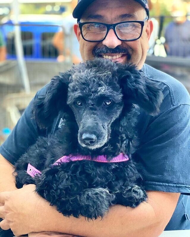 FEIRA DE ADOÇÃO DE CÃES E GATOS FEIRA DE ADOÇÃO DE CÃES E GATOS